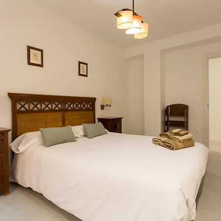 Mulhacen Centro Free Parking Apartment Granada